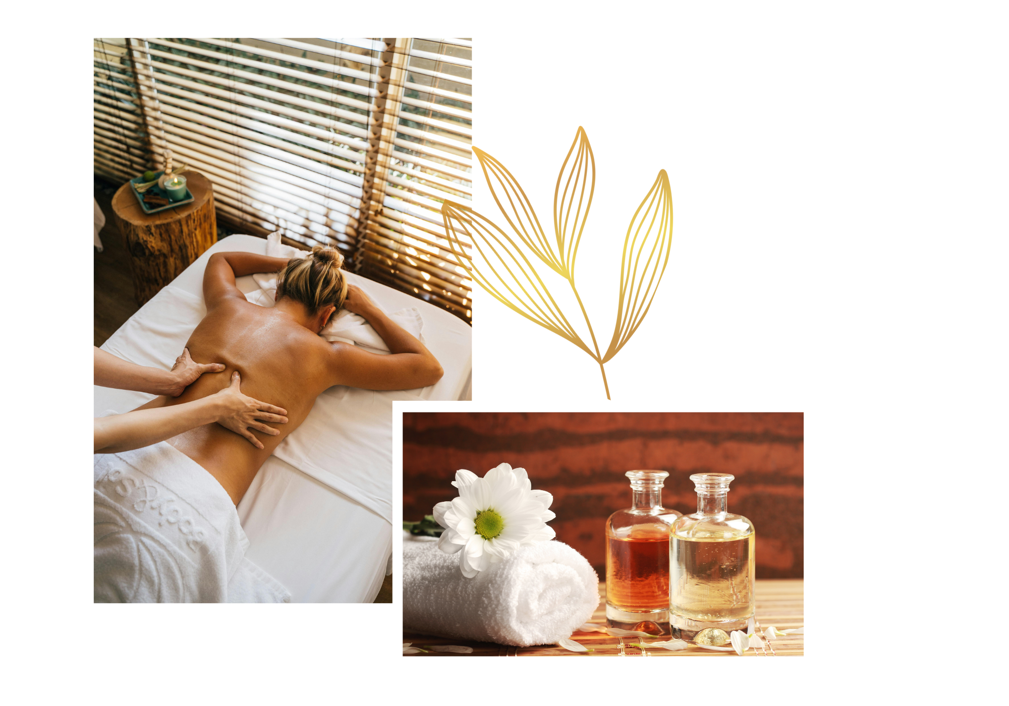 Untitled 1600 x 1000 px 1600 x 1200 px 2000 x 1400